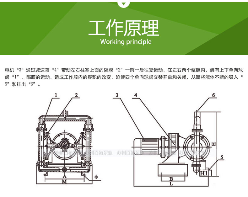 DBY型电动隔膜泵(图3)