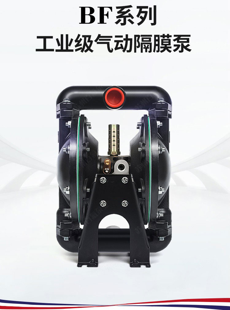 BF型大流量气动隔膜泵(图1)